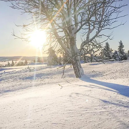 4 Bedroom Beautiful In * Sjusjoen