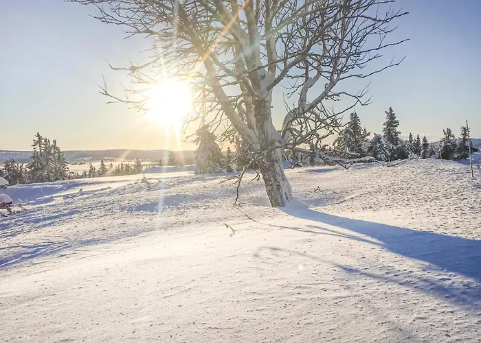 4 Bedroom Beautiful In * Sjusjoen